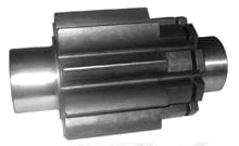 Piñon-2P3423