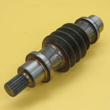 Worm-Circ-Dr-3238675
