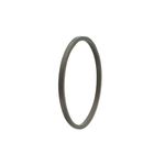 Ring-Snap-358645A1