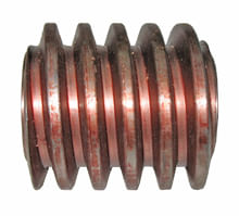 Worm-Rh-6B6911