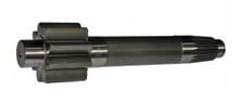 Piñon-6I8132
