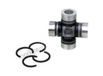 Spider-and-8D1508