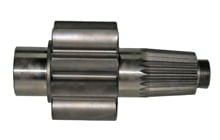 Piñon-8P1774