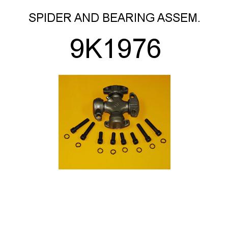 Spider and 9K1976