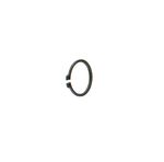 Ring-9R3167