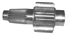 Piñon-9S6875