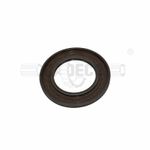 Ring---Seal-1838453