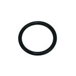 O-Ring 154491A1