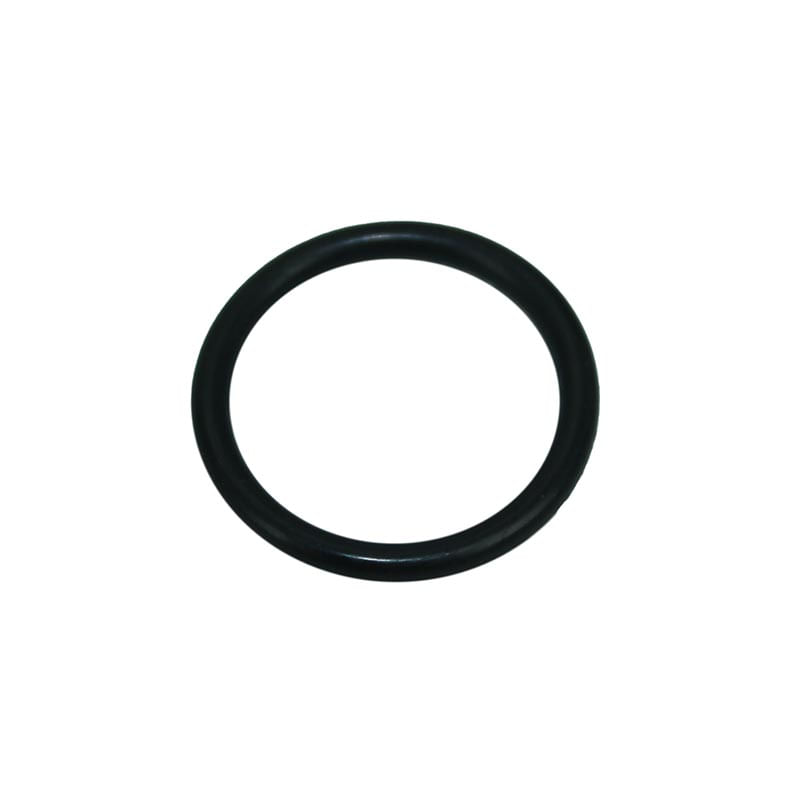 O-Ring 154491A1