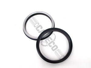 Seal-Gp-1090881