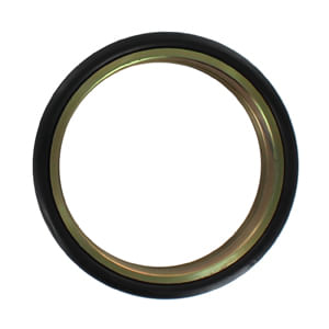 Seal-Gp-1090885
