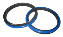 Seal-G-Duo-3T6541