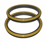 Seal-G-Duo-3T6541