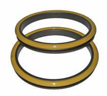 Seal-G-Duo-3T6541