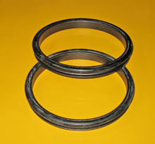 Seal-Gp-1090868