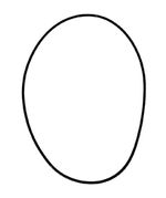 Seal-O-Ring-4S5805
