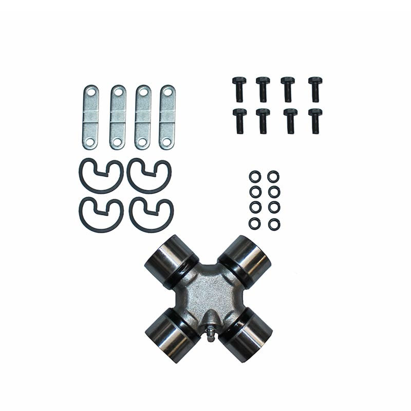 Spider and Brg 1168539