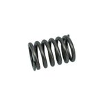 Resorte para cabeza de motor 7S7144