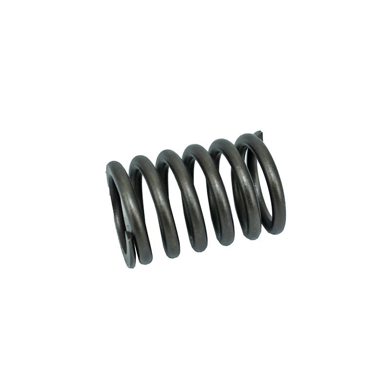 Resorte para cabeza de motor 7S7144