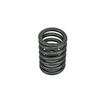 Resorte para cabeza de motor 7S7144
