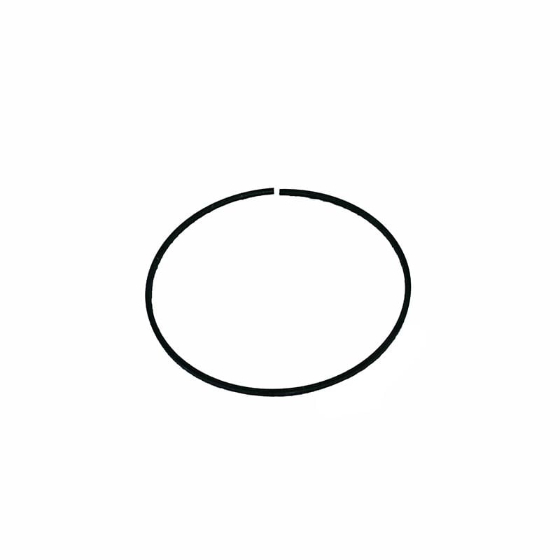 Ring-Lock-175961A1