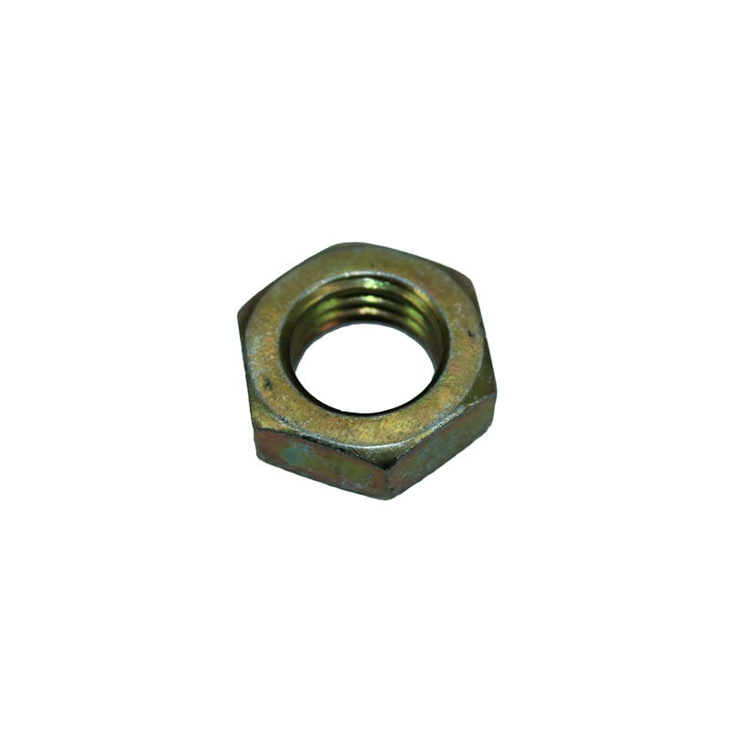 Nut-Thin-0985747
