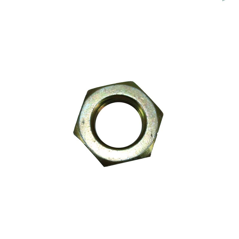 Nut-Thin-0985747