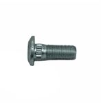 Stud-1595772