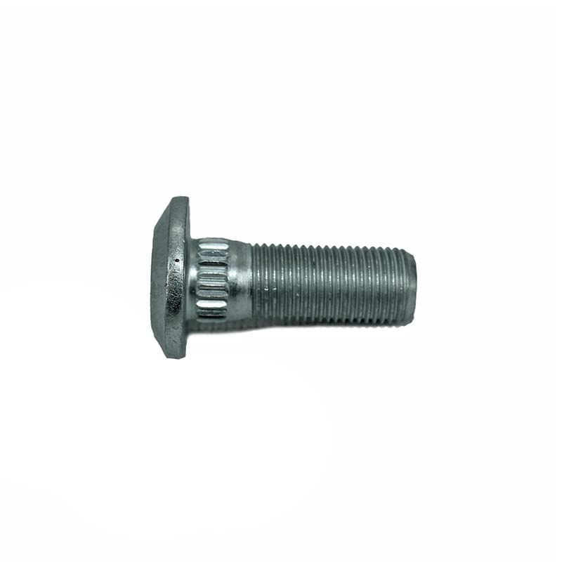 Stud-1595772