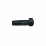 Bolt Shoe 0930257