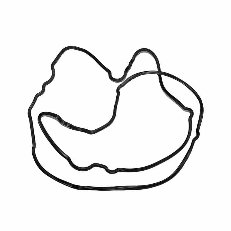 Gasket-Vc-3959798