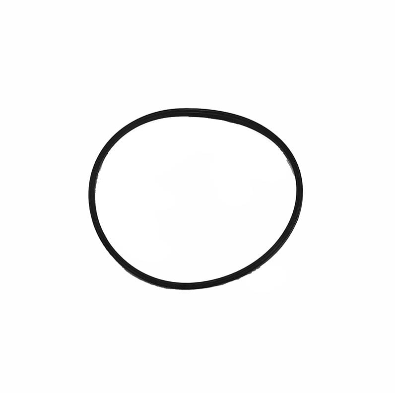 Seal-Pip-3411429