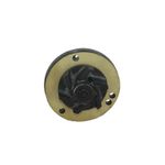 Bomba-de-agua-para-motor-A146584