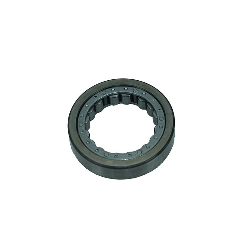 Bearing-As-Roller-1M3100
