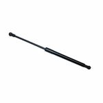 Gas Strut 47710478
