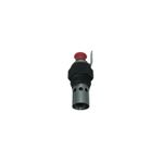 Termostato-218349A1