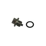 Plug-As-Drain-6Y1896