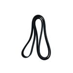 Belt--8K--2307198