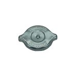 Cap-As-0361865