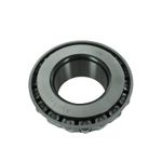 Cone-0083175