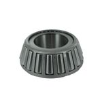 Cone-0083175