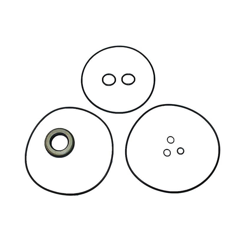 Juego de Sellos - Motor-Bomba 1262029