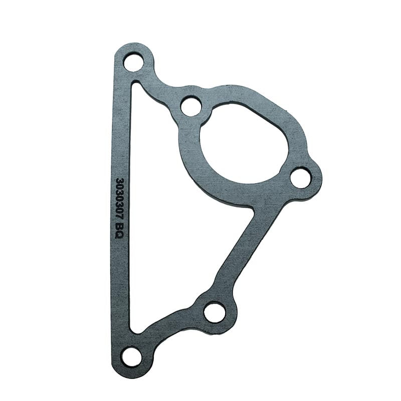 Empaquetadura 3030307