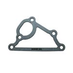 Empaquetadura 3030307