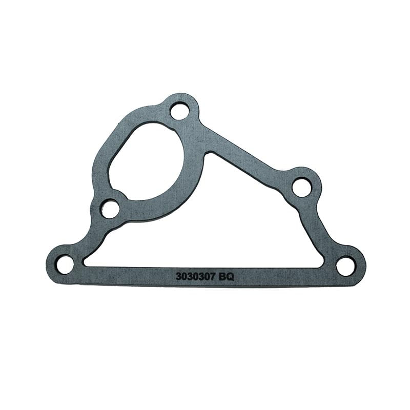 Empaquetadura 3030307