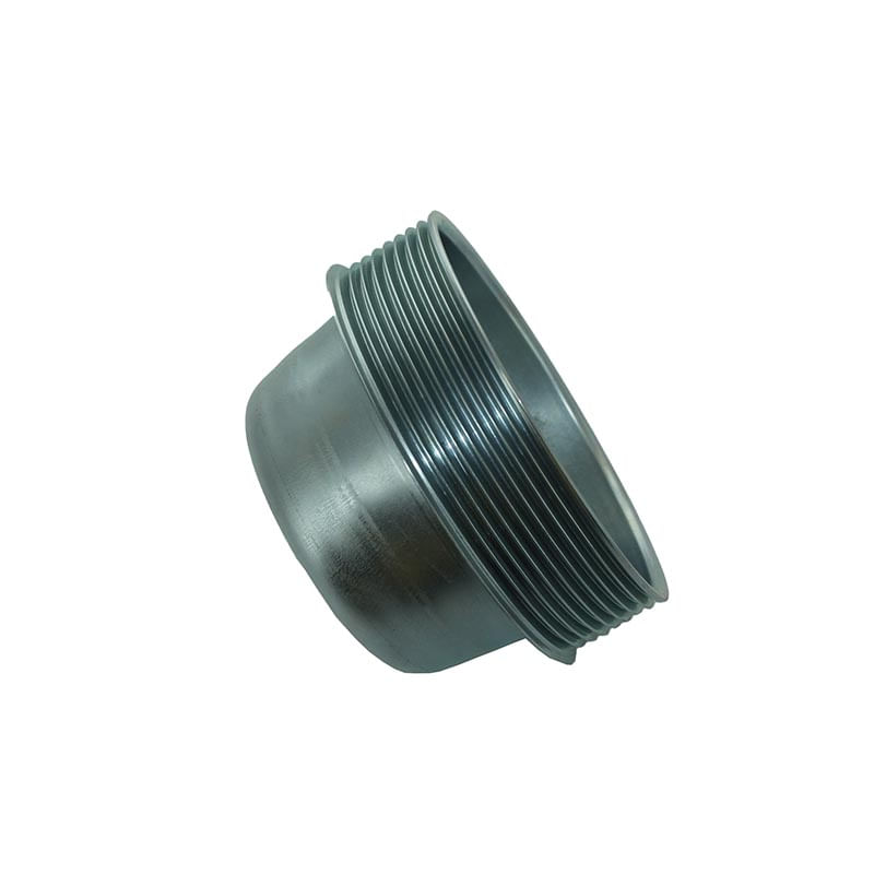 Pulley 4890343