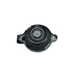 Cap-As-Relie-2274376