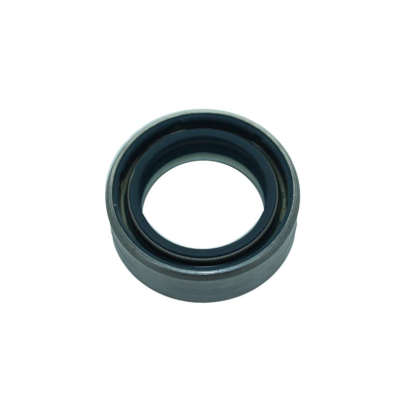 Seal Ring 87710155