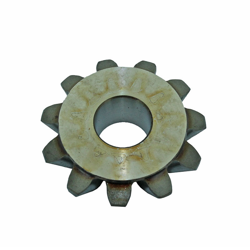 Piñon-A142676