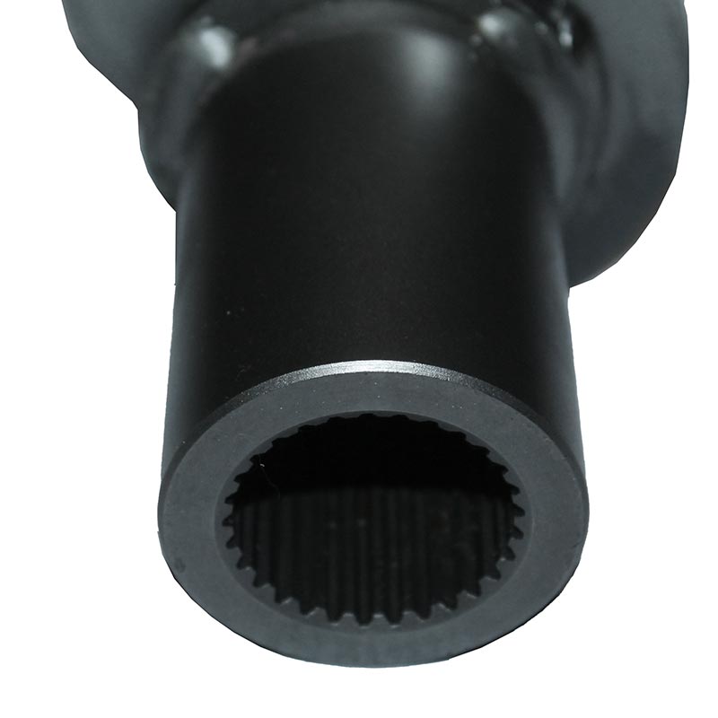 Worm-295112A1